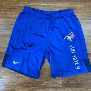 Nike Mens Large Mesh Toronto Blue Jays Shorts